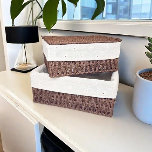 GIB Small Wicker Storage Baskets with Lid/Liner Woven Cute Decorative Boxes
