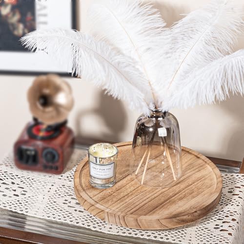 Wood Lazy Susan Turntable Kitchen Decor Round Table Tray, 10" Brown