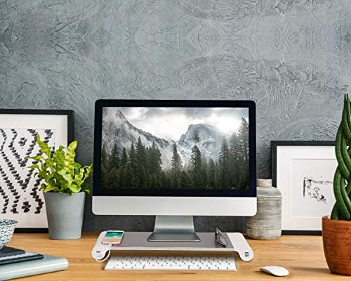 PG Silver Monitor Stand Riser with 4-Port USB Charging ports, Convenient keyboard organiser,Desktop Organizer for Comput