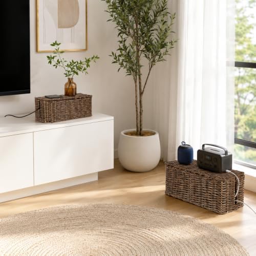2 Pack Handwoven Cable Management Box with Lid, Decorative Cord Organizer for Power Strips, Chargers, TV Wires, Desk, Ho