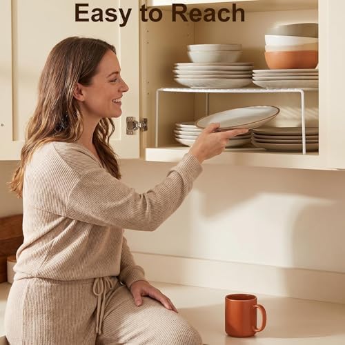iPEGTOP Set of 6 Large (15.7 x 9.4 Inch) Kitchen Cabinet Organizer Shelf, Wire Freezer Storage Shelves Rack, Rustproof S