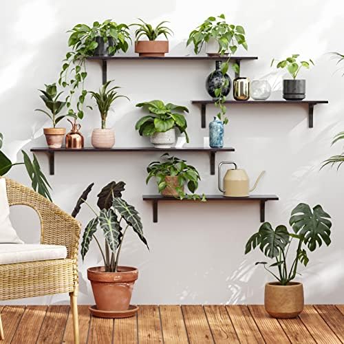 DINZI LVJ Long Wall Shelves, 31.5Inch Wooden Wall Mounted Shelves, Set of 2