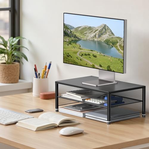 ECOLOVI 2-Tier Computer Monitor Stand Riser, Printer & Laptop Stand, Office Desk Accessories, Workspace Desk Organizer f