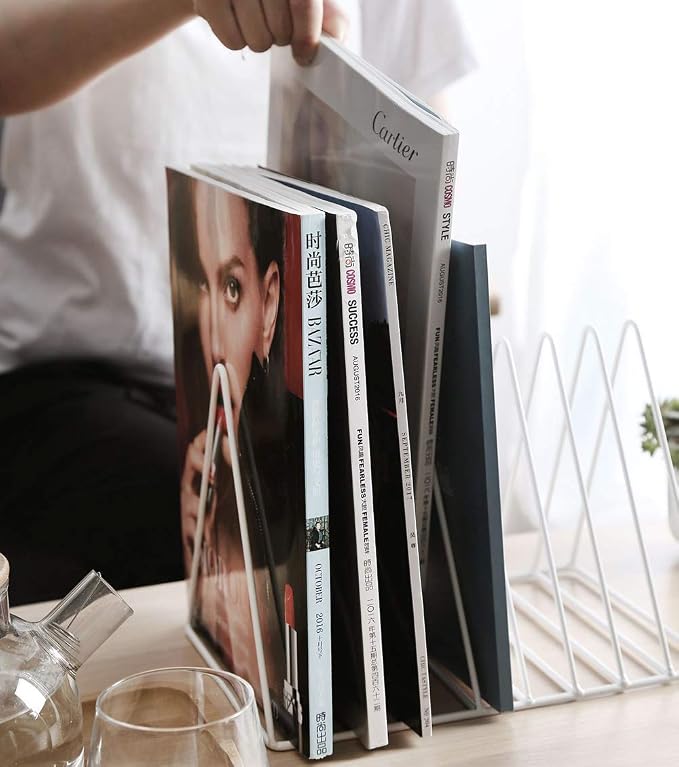 Sooyee 9 Slot Metal Record Holder Storage,White | Magazine Holder, Book Album Display Rack, Desktop File Sorter Organizer, Triangle Bookshelf Decor for Home Office