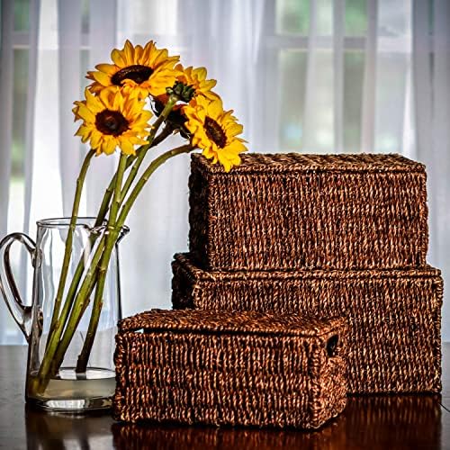 Trademark Innovations Set of 3 Rectangular Seagrass Baskets with Lids, Brown (Small)