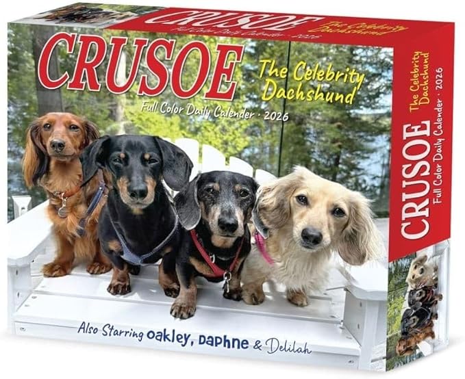 Willow Creek Press, Crusoe the Celebrity Dachshund 2026 Desk Calendar