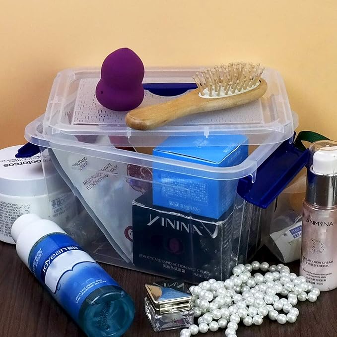 6-Pack 3 Liter Storage Box, Small Plastic Bin with Handle