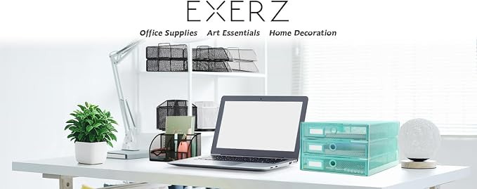 Exerz Paper Sorter 3 Drawer Wire Mesh A4 / Desk Multifunctional Desk Organiser/Multi-Layer Letter Tray - for Documents, Magazines, Notebooks and Letter