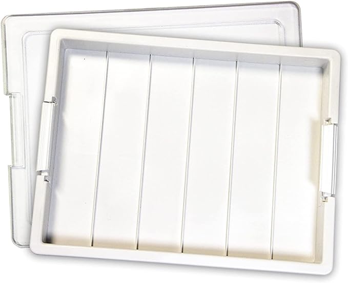 Elizabeth Ward Bead Storage Solutions Plastic Organizer Tray with Clear Snap Shut Lid for Sorting Craft Supplies, Fasteners, Crystals, and More