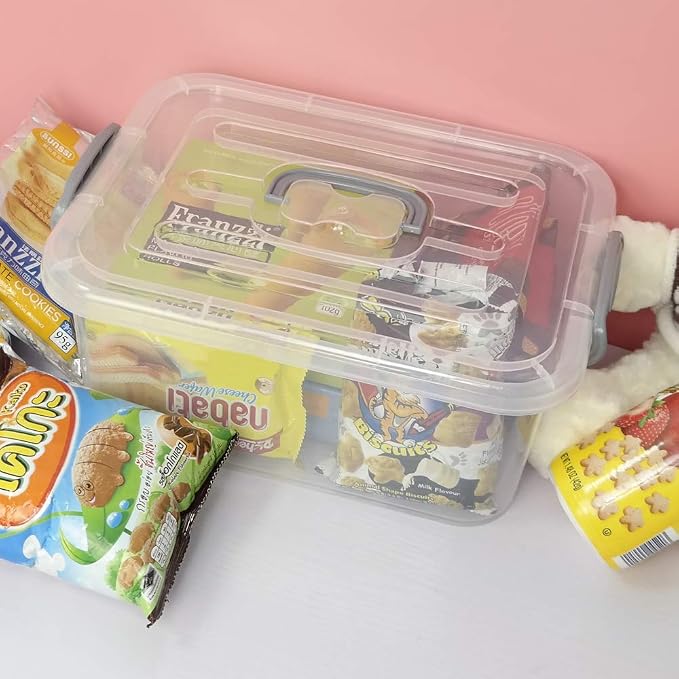 2 Packs Storage Bin with Lid, 8 Liter Plastic Box Set