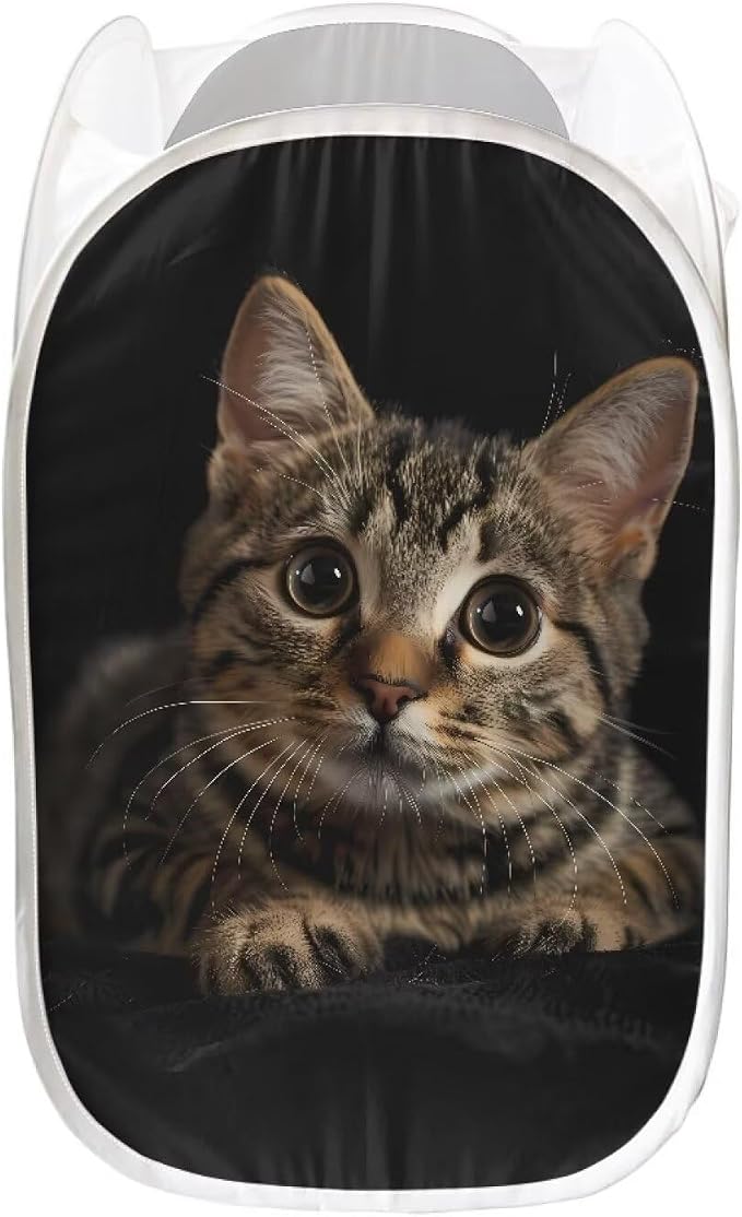 AFPANQZ 3D Cat Pattern Strong Mesh Pop-up Laundry Hamper Collapsible Laundry Baskets with Side Pocket Steel Frame Easy to Open and Fold Flat for Clothes Storage