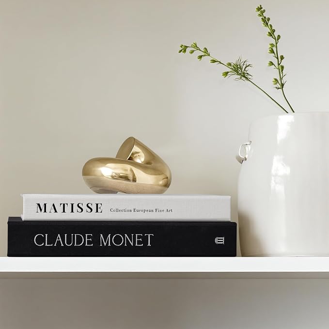 Decorative Book for Home Decor - Aesthetic Fake Books for Coffee Table Decoration - Set of 2 Linen Faux Book for Room Bookshelf Decor - Fake Books Storage Box for Photo and Keepsake