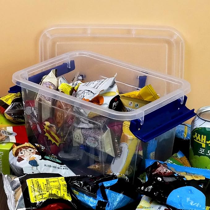 6-Pack 3 Liter Storage Box, Small Plastic Bin with Handle