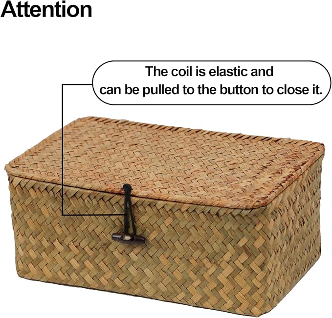 Set of 2 Wicker Basket with Lid, Seagrass Woven Basket for Storage, Decorative Storage Baskets Bins for Organizing Home