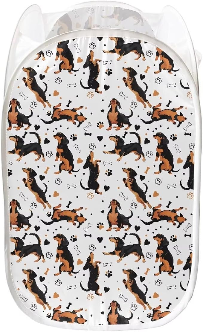 AFPANQZ Dachshund Print Mesh Popup Laundry Hamper Large Collapsible Laundry Basket Width Side with Pocket Foldable Clothes Hamper for Collage Dorms Kids Rooms Travel Save Place