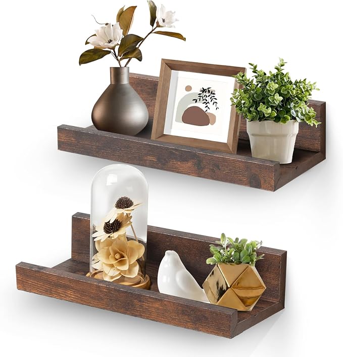 Muzilife 12" Small Floating Wall Ledge Shelves with Lip - Set of 2 Wood Floating Shelves - Walnut Brown Wall Mounted Picture Ledge for Office, Bathroom, Bedroom, Living Room, Kitchen