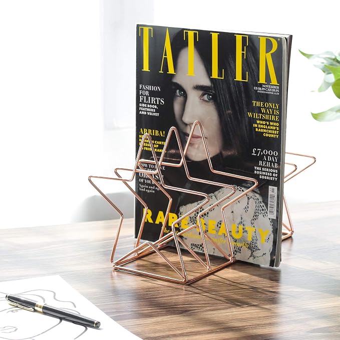 Magazine Holder File Sorter, Metal 5 Slot Desk Organizer Rack for Document, Folder, Letter and Book, Rose Gold, Pentastar Shape