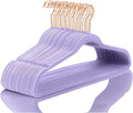 MIZGI Premium Velvet Hangers (60 Pack) Heavy Duty - Non Slip Felt Hangers - Velvet Suit Hangers Light Purple - Rose Gold Hooks,Space Saving Clothes Hangers