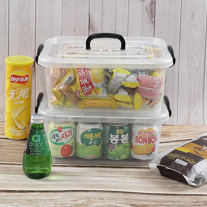 Quickquick 8 L Plastic Latching Box with Handle, Clear Storage Bins, 2-Pack | Stackable Latch Container Tote with Lid