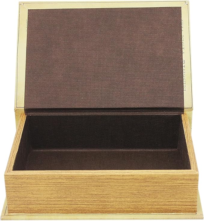 PACOLO Decorative Book Boxes, Faux Wood cover Storage for Hidden Jewelry, Money, and Cash (Aeroplane)