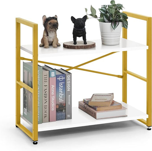 CAPHAUS 2 Tier Small Bookshelf, 24 Inch Width Free Standing Shelf, Bookcase Shelf Storage Organizer, Industrial Book Shelves for Home Office, Living Room, White Wooden Shelves & Gold Frame
