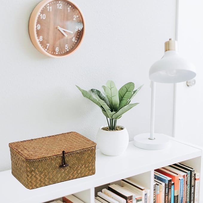 Wicker Basket with Lid, Natural Seagrass Storage Baskets for Organizing, Woven Basket for Storage, Decorative Boxes Bins with Lids Home Organizer Decor (‎Natural, Small)