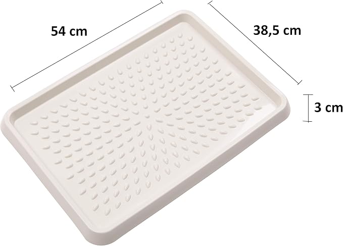 BranQ - Home essential BranQ 5901098048408 Plastic Shoe Rack, Polypropylene, Cream, Pack of 2