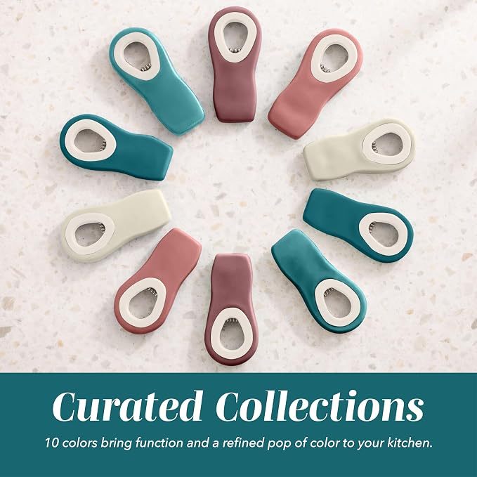 COOK WITH COLOR Bag Clips with Magnet- Food Clips, Chip, Bag for Food Storage with Airtight Seal Grip for Bread, Snack and Food Bags (Teal and Mauve, Pack of 10)