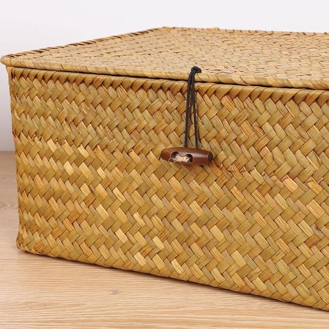 FEIALNDUO Wicker Shelf Baskets with Lid,Seagrass Storage Basket Bins Rectangular Handwoven Basket Boxes for Shelves Desktop Home Organizer (Natural, Medium)