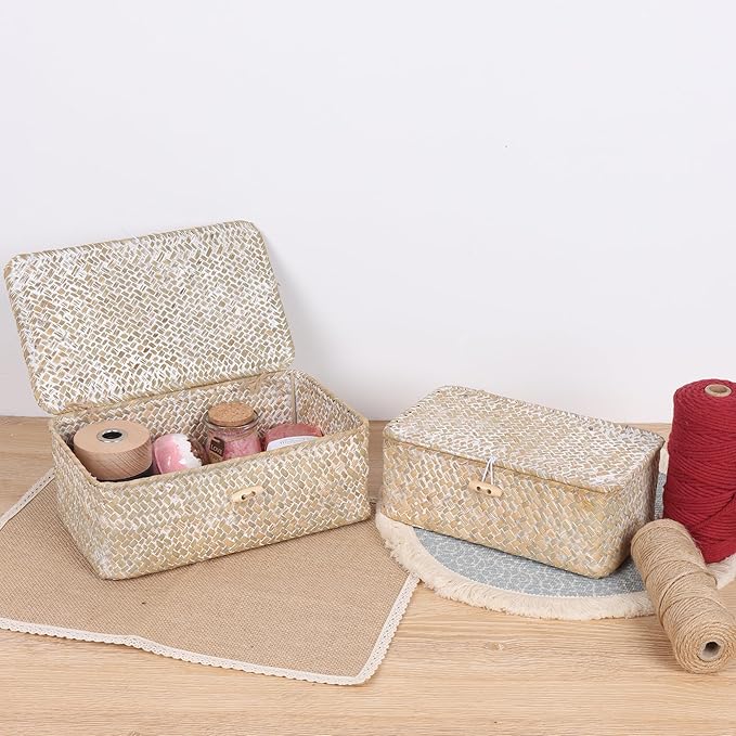 FEIALNDUO Wicker Shelf Baskets with Lid,Seagrass Storage Basket Bins Rectangular Handwoven Basket Boxes for Shelves Desktop Home Organizer (Whitewash, Small)