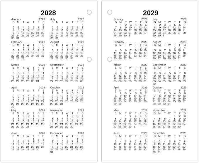 AT-A-GLANCE 2026 Desk Calendar Refill, Daily, 3-1/2" x 6", Standard, Loose-Leaf (E0175026)