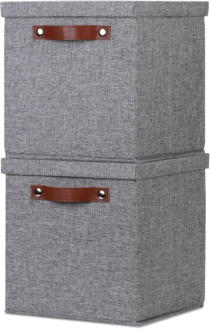 Temary Foldable Fabric Storage Bins with Lids, 2-Pack Storage Bin for Organizing Living Room, Closet Organization, Multi-Purpose Storage Boxes for Clothes (Grey, 10.5x10.5x10.5 inch)