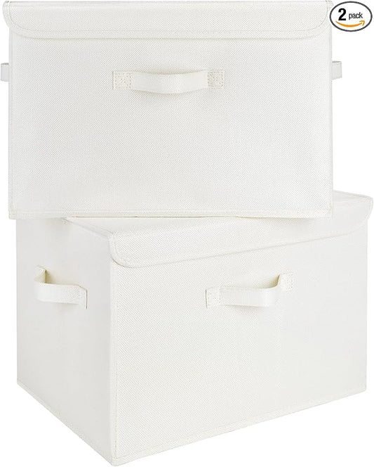 GRANNY SAYS Storage Boxes with Lids, Large Storage Bins with Lids, Decorative Box, Shelves Baskets, Clothes Storage and Organization, 2-Pack