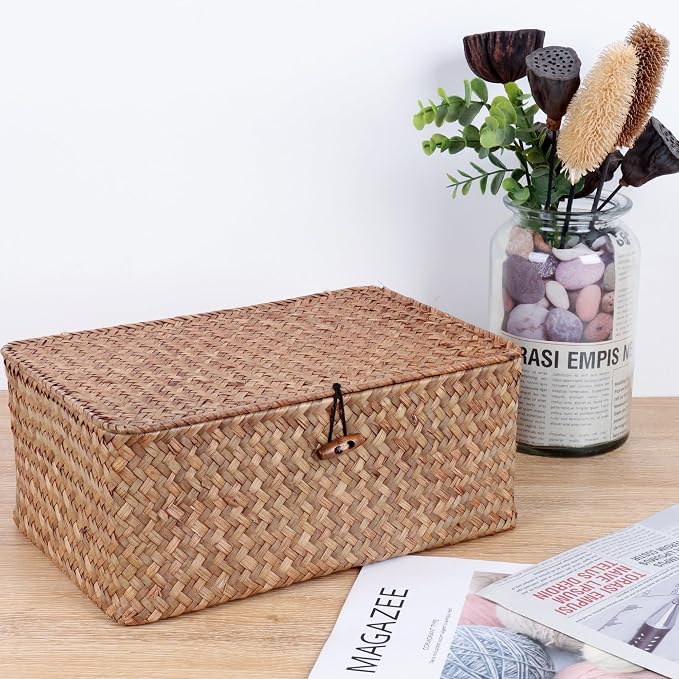FEIALNDUO Wicker Shelf Baskets with Lid,Seagrass Storage Basket Bins Rectangular Handwoven Basket Boxes for Shelves Desktop Home Organizer (Coffee, Medium)