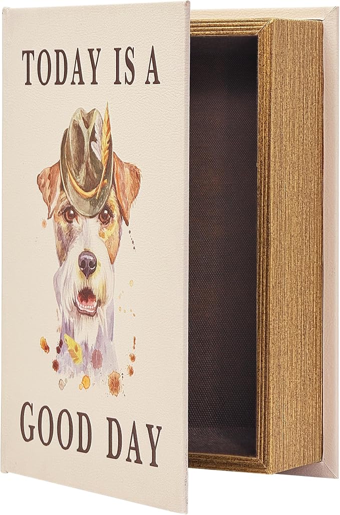 PACOLO Decorative Book Boxes, Faux Wood cover Storage for Hidden Jewelry, Money, and Cash (TODAY IS A GOOD DAY)