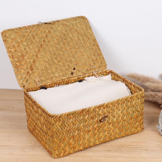 FEIALNDUO Wicker Shelf Baskets with Lid,Seagrass Storage Basket Bins Rectangular Handwoven Basket Boxes for Shelves Desktop Home Organizer (Natural, Large)