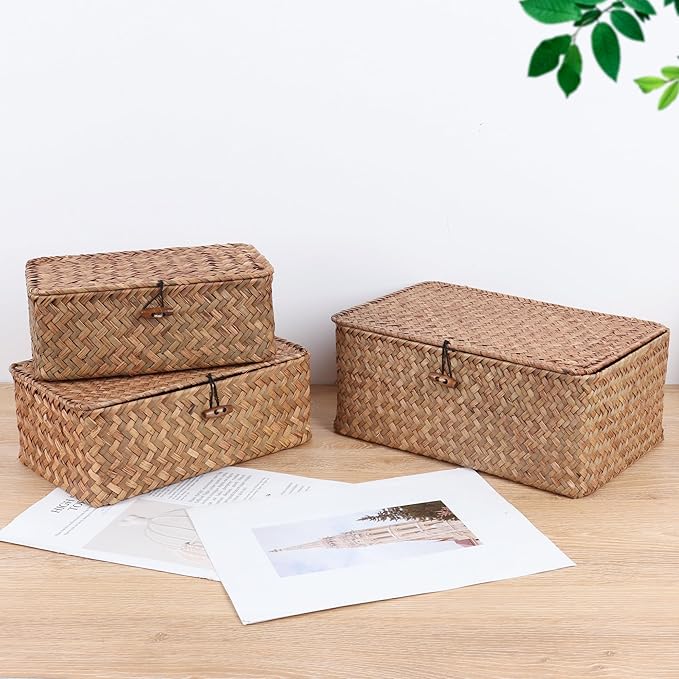 FEIALNDUO Wicker Shelf Baskets with Lid,Seagrass Storage Basket Bins Rectangular Handwoven Basket Boxes for Shelves Desktop Home Organizer (Coffee, Small)
