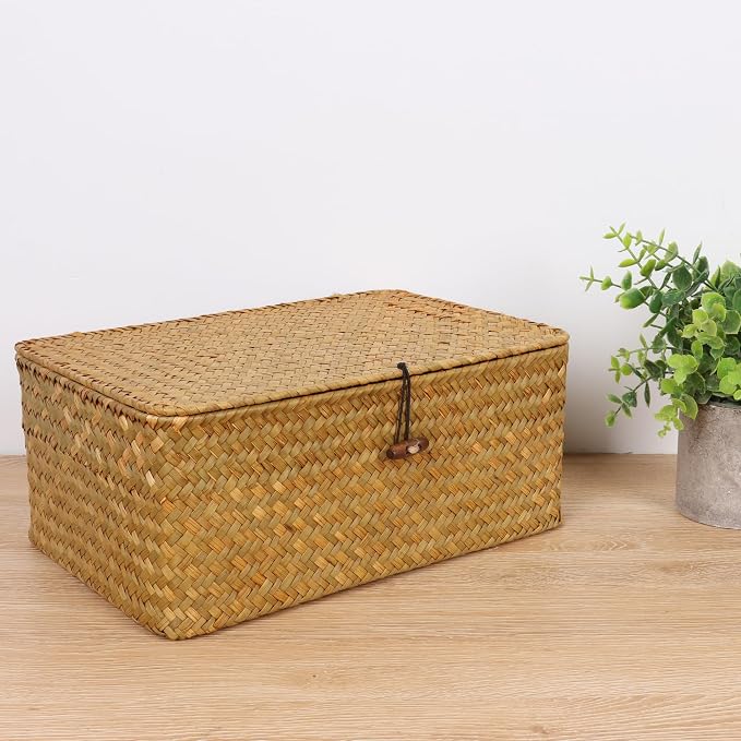 FEIALNDUO Wicker Shelf Baskets with Lid,Seagrass Storage Basket Bins Rectangular Handwoven Basket Boxes for Shelves Desktop Home Organizer (Natural, Medium)