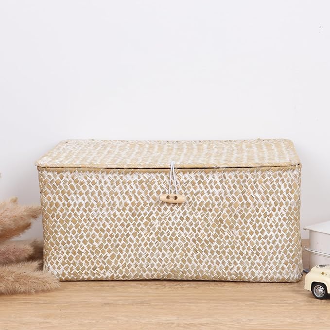FEIALNDUO Wicker Shelf Baskets with Lid,Seagrass Storage Basket Bins Rectangular Handwoven Basket Boxes for Shelves Desktop Home Organizer (Whitewash, Large)