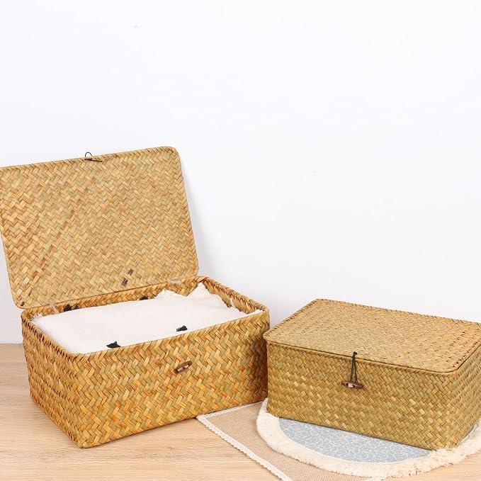 FEIALNDUO Wicker Shelf Baskets with Lid,Seagrass Storage Basket Bins Rectangular Handwoven Basket Boxes for Shelves Desktop Home Organizer (Natural, Medium)