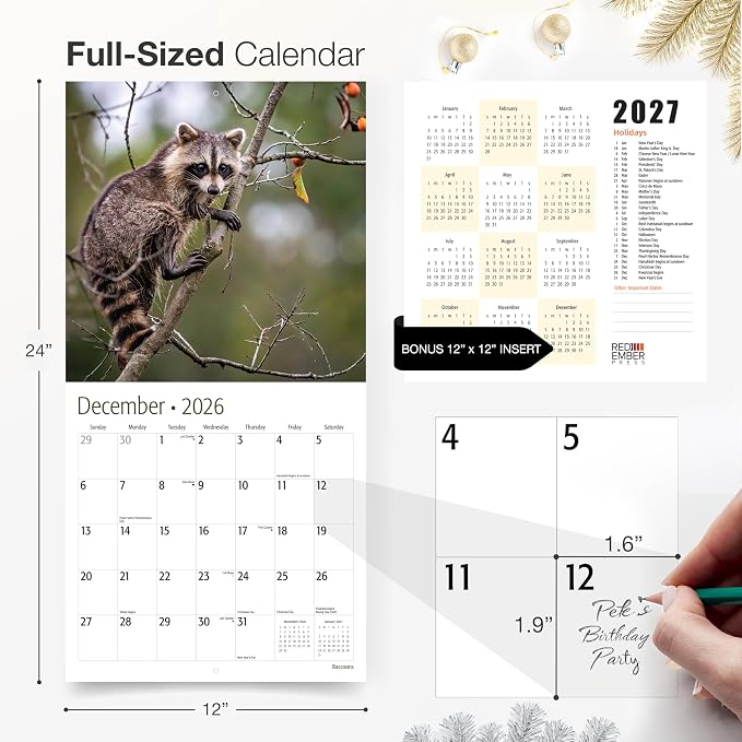 RED EMBER Raccoons 2026 Wall Calendar 12 Month | 12" x 24" Open | Thick & Sturdy Paper | Holiday Gift | Funny Animal Calendar 2026