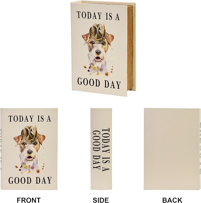 PACOLO Decorative Book Boxes, Faux Wood cover Storage for Hidden Jewelry, Money, and Cash (TODAY IS A GOOD DAY)