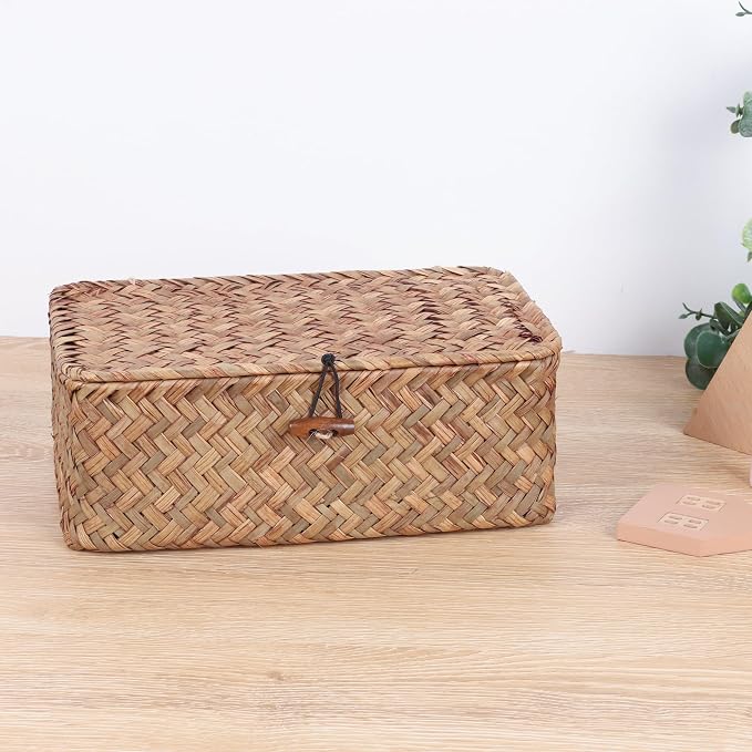 FEIALNDUO Wicker Shelf Baskets with Lid,Seagrass Storage Basket Bins Rectangular Handwoven Basket Boxes for Shelves Desktop Home Organizer (Coffee, X-Small)
