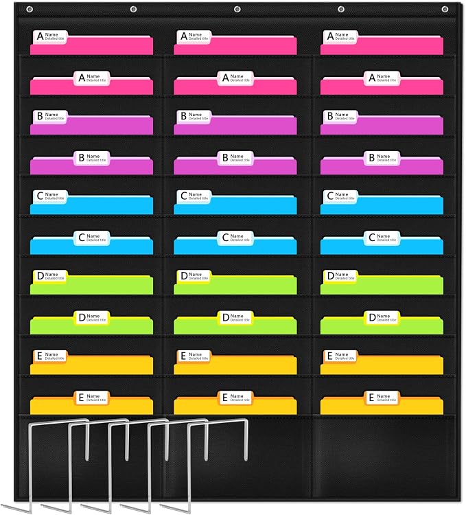 Heavy Duty Storage Pocket Chart for Classroom and Office,Clear Storage Pocket Chart for Files Folder (30 POCKETS)