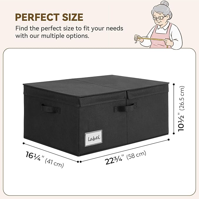 GRANNY SAYS Extra Large Storage Bins with Double-Open Lid, Closet Storage Boxes with Label, 63L Stackable Storage Organizer, Shelves Basket, Black, 2-Pack