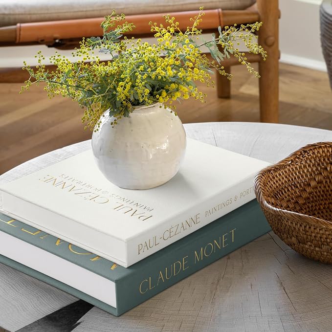 Aesthetic Decorative Books - Coffee Table Books Decor - Faux Decor Book Storage Box for Decoration - Set of 2 Linen Fake Book for Home Table Decors - Photo Storage Keepsake Box