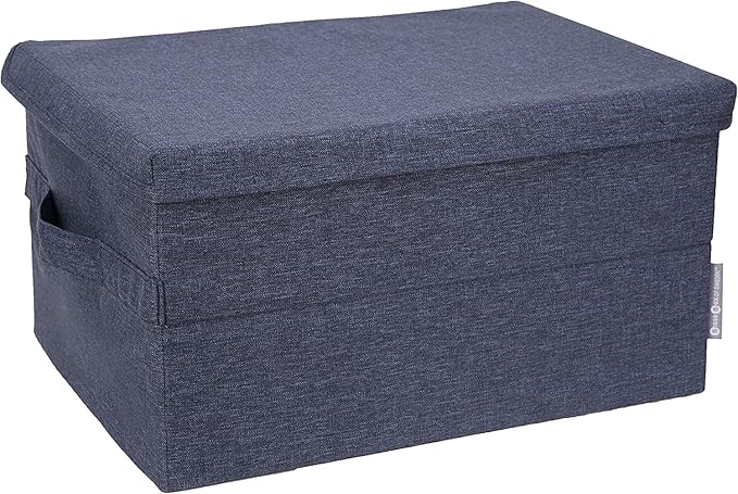 Bigso Box of Sweden Soft Foldable Polyester Storage Box with Lid & Handles for Closets and Rooms - Collapsible Organizer for Clothes and More - 11.8in x 15.7in x 8.7in - Medium - Blue