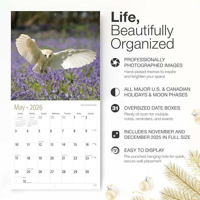 RED EMBER Owls 2026 Wall Calendar 12 Month | 12" x 24" Open | Thick & Sturdy Paper | Giftable | Birds of Prey Animal Calendar 2026