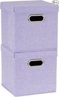 Household Essentials 814-1 Café Cube Bin Storage Set with Lids and Handles | 2 Pack, Purple Linen