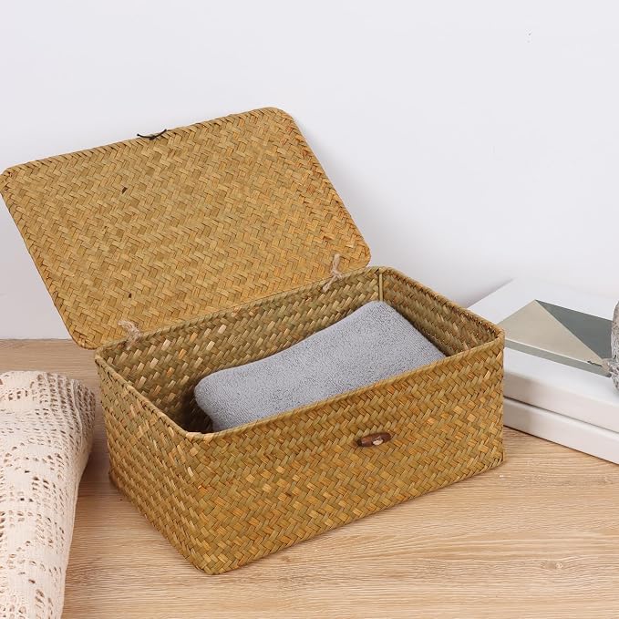 FEIALNDUO Wicker Shelf Baskets with Lid,Seagrass Storage Basket Bins Rectangular Handwoven Basket Boxes for Shelves Desktop Home Organizer (Natural, Medium)